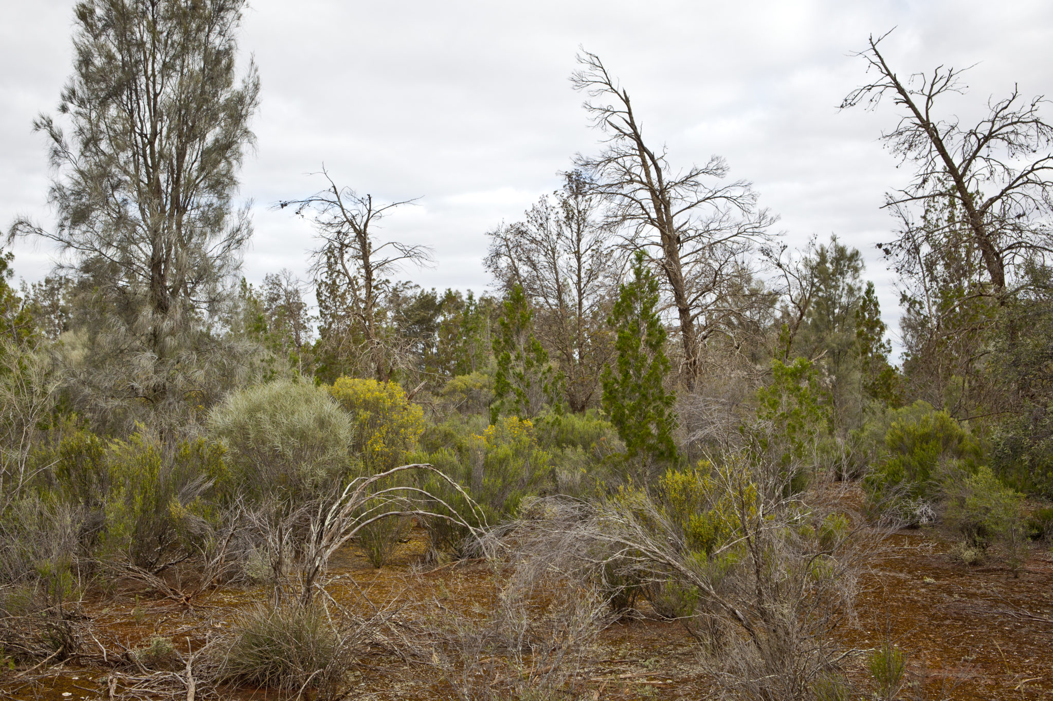 Annuello-Wandown | Mallee Regional Catchment Strategy